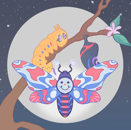 Transcendental Bodies